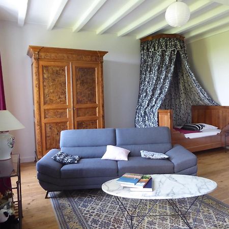 Chateau D'Annezay Luaran gambar